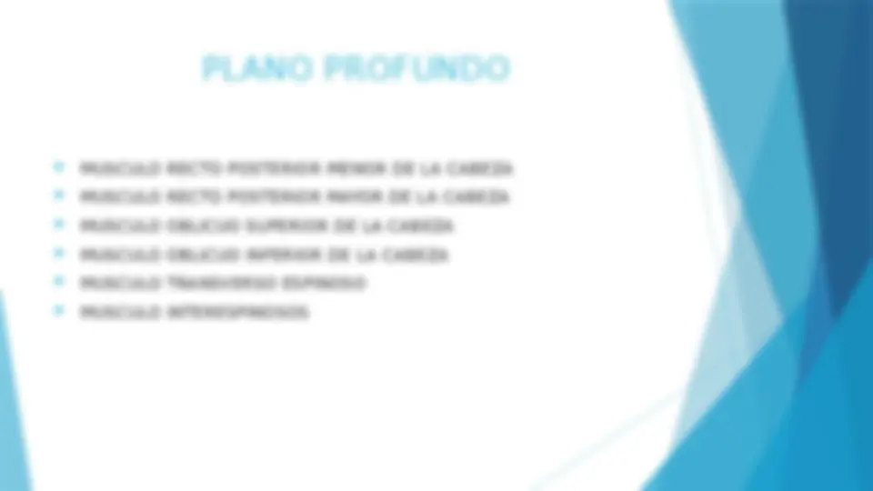 pf16