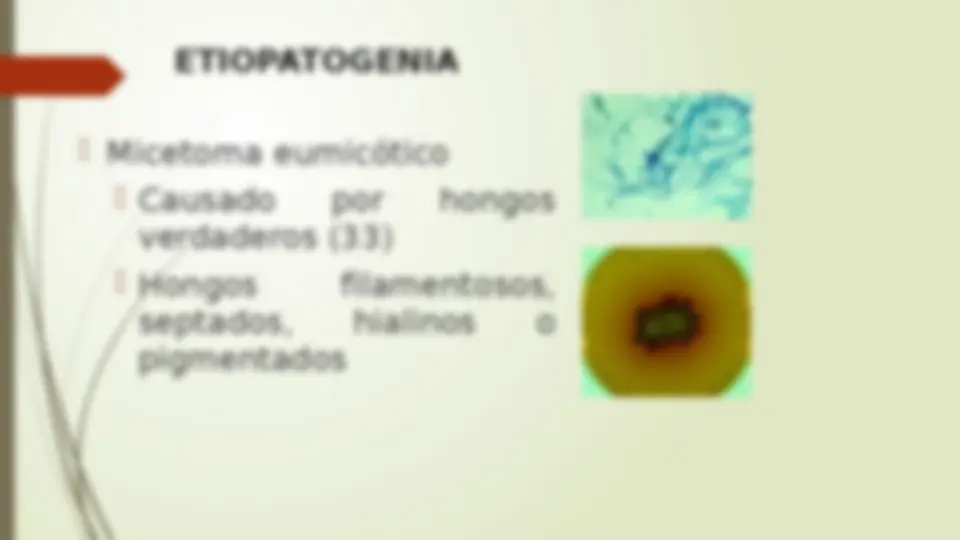 pf2a
