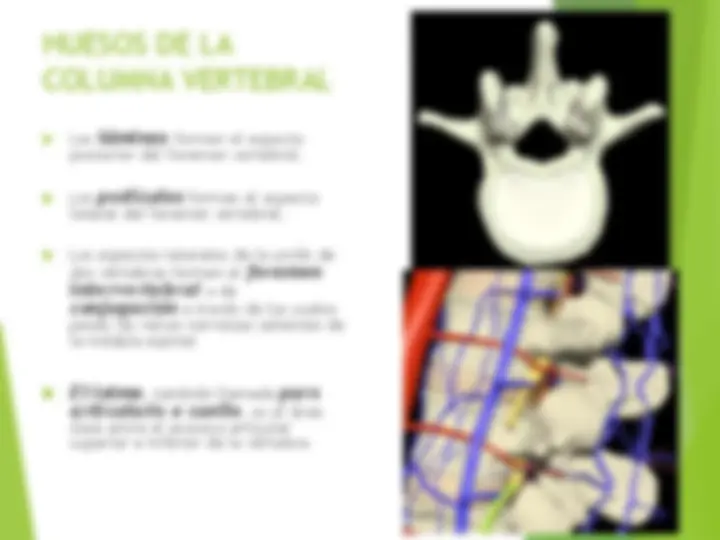 pfa