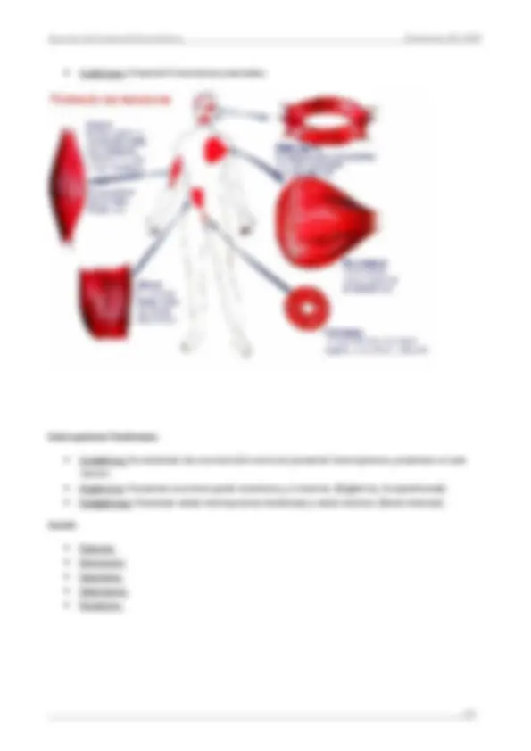 pf44