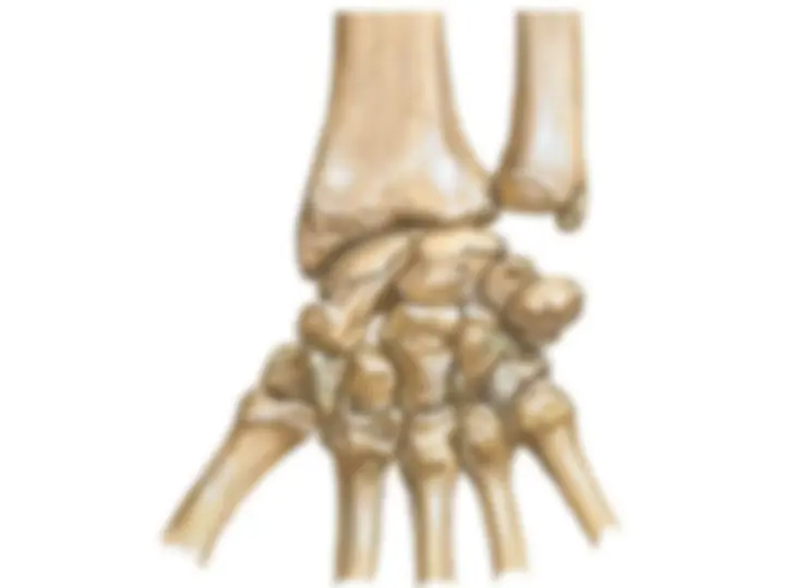 pf23