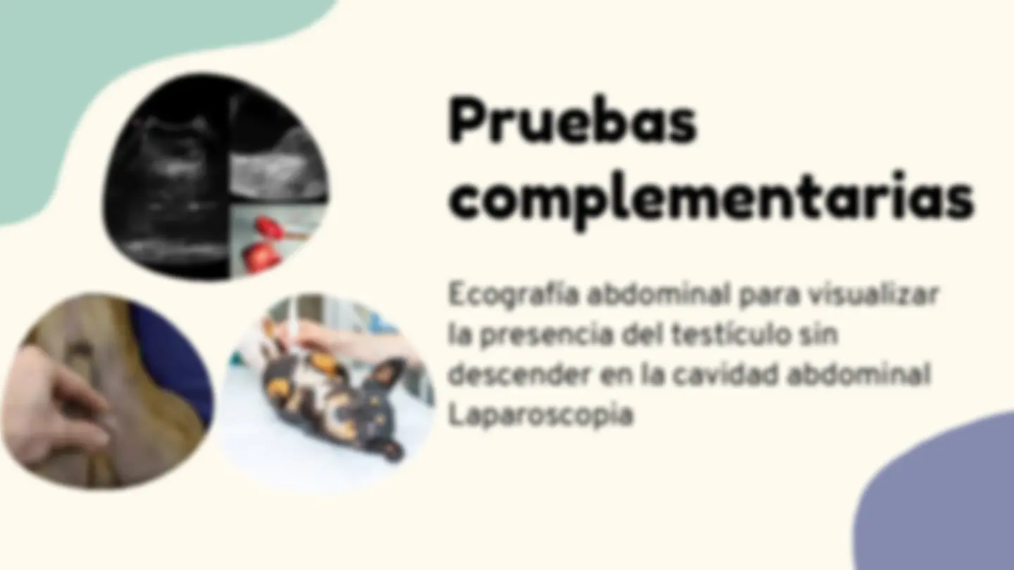 pf4
