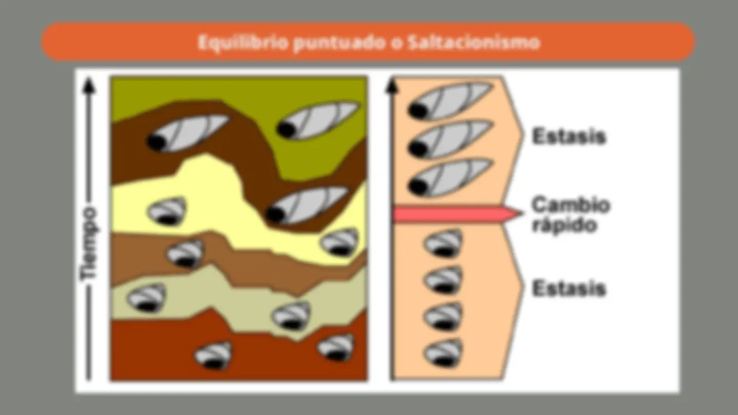 pf14