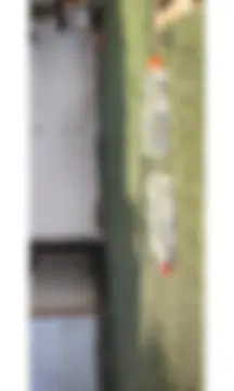pf8