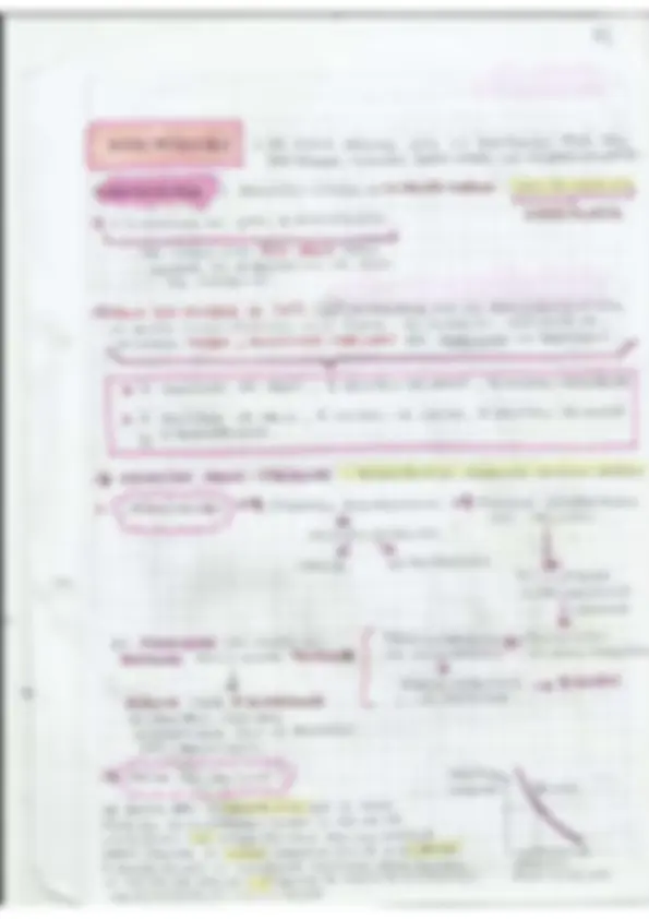 pf3