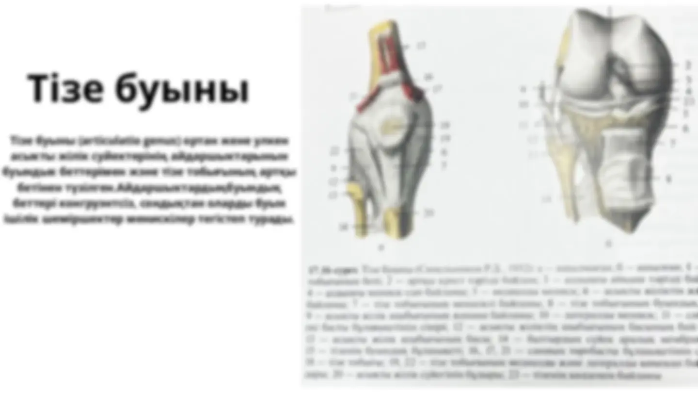 Жетілген секс порно түтік