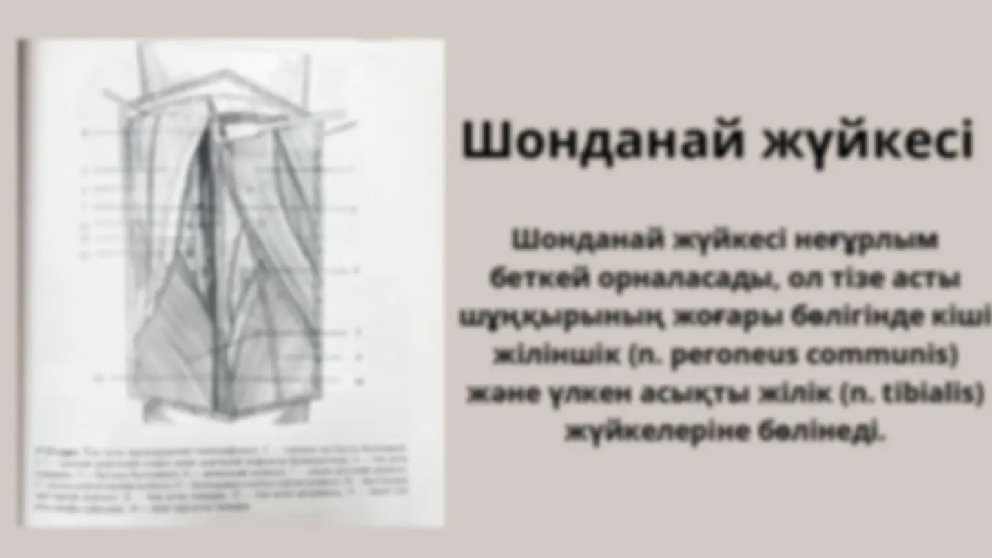 Рогонозды қорлау порно онлайн
