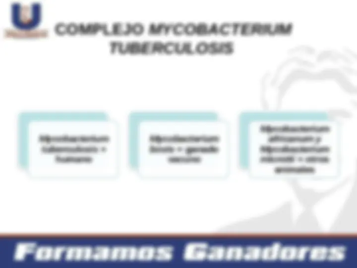 pf4