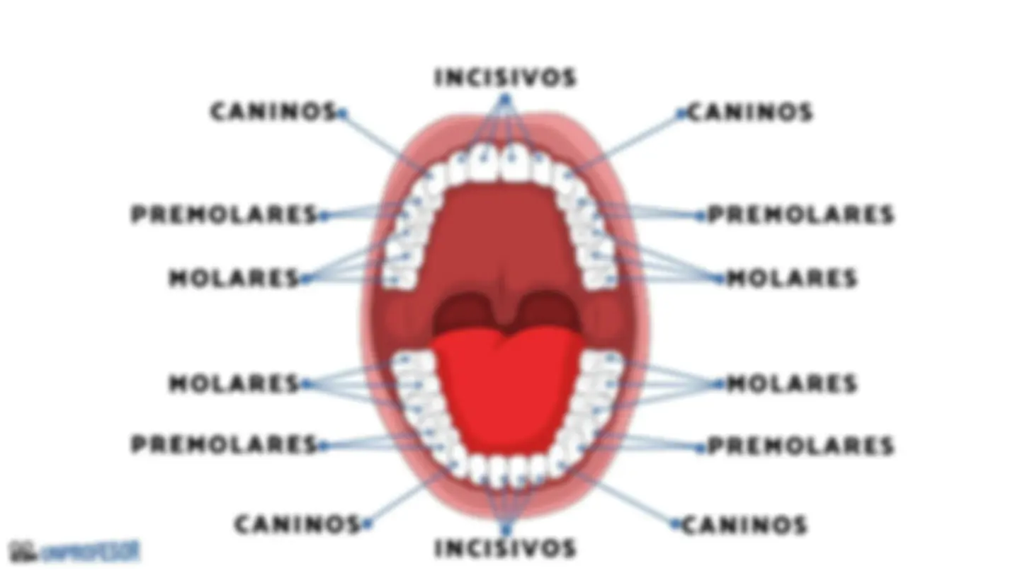 pf4