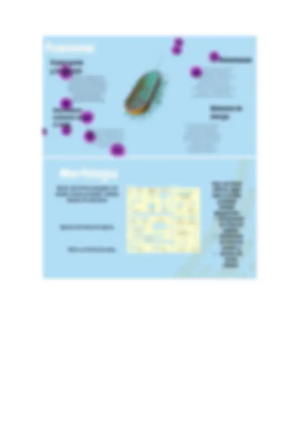 pf3