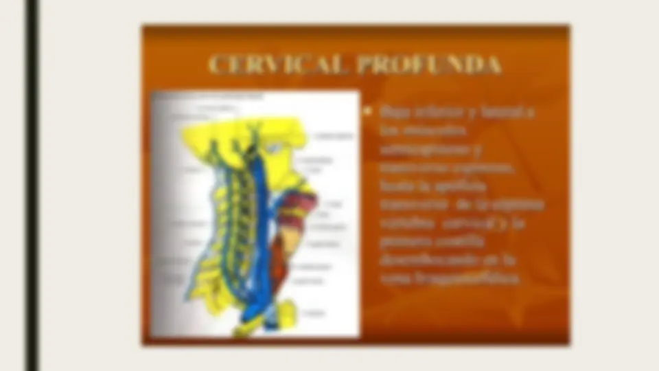 pfa