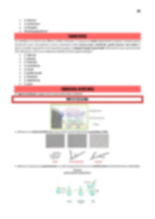 pf5e