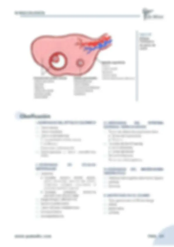 pf23