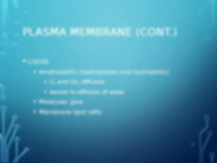 pf15