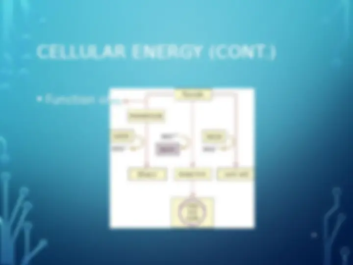 pf2c