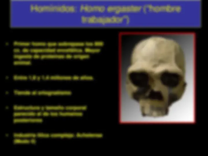 La evolución de los homínidos: del Australopithecus al Homo Sapiens ...
