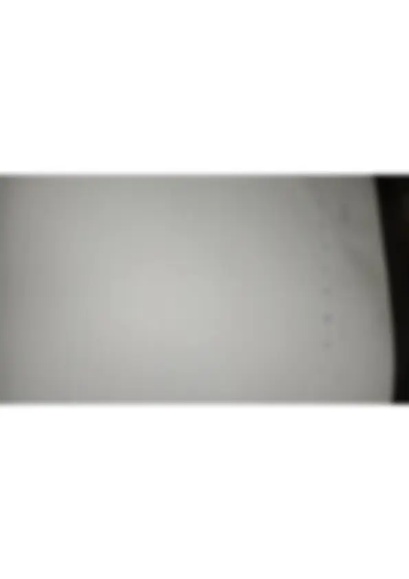 pf13