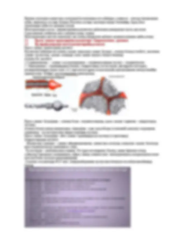 Санкт-Петербургтегі көліктегі минет