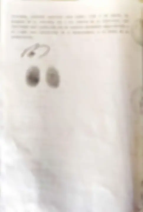 pf3
