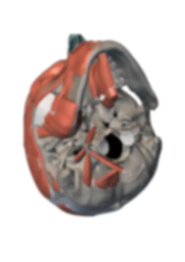 pf4