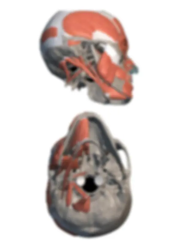 pf3