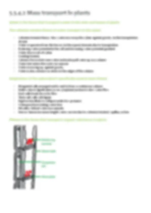 The Structure and Function of the Cardiovascular System | Lecture notes ...