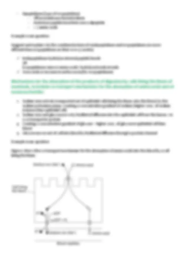 The Structure and Function of the Cardiovascular System | Lecture notes ...