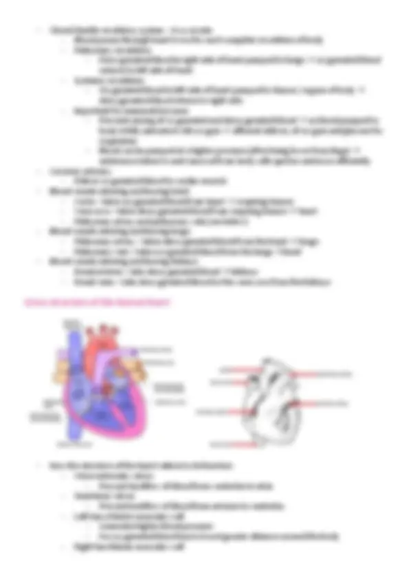 The Structure and Function of the Cardiovascular System | Lecture notes ...