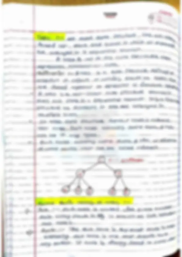 pf31