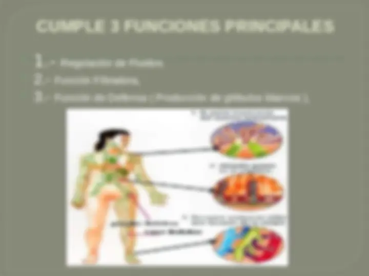 pf3