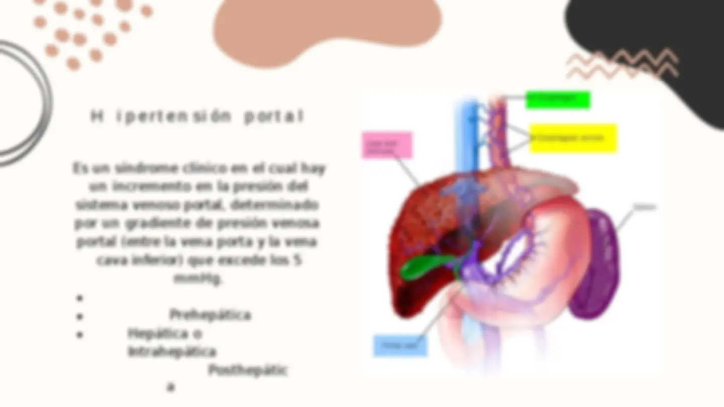 pf21