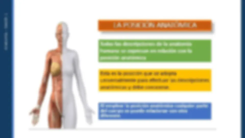 pfa
