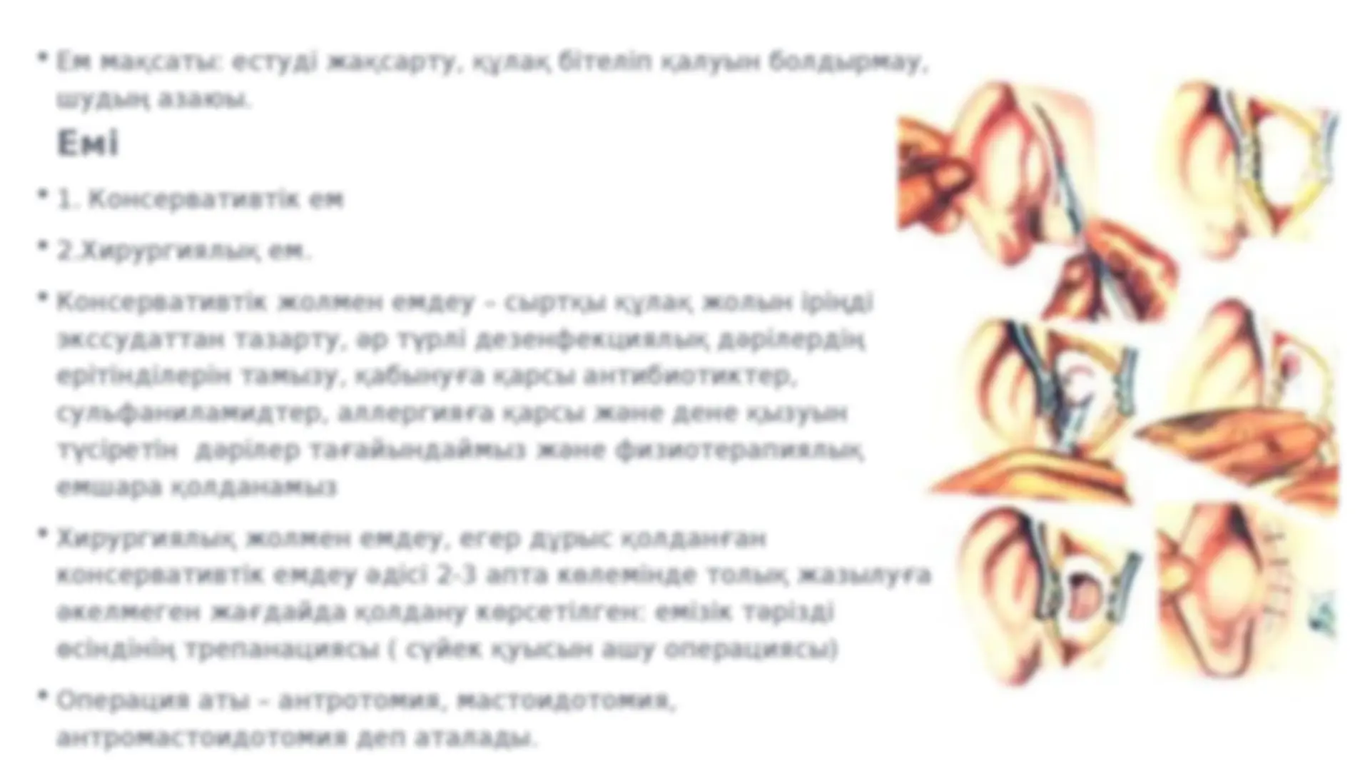 Беркованың оргазмы