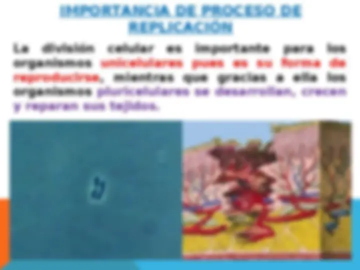 pf5