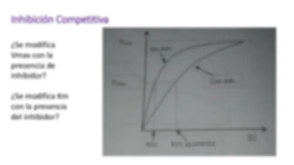 pf1f