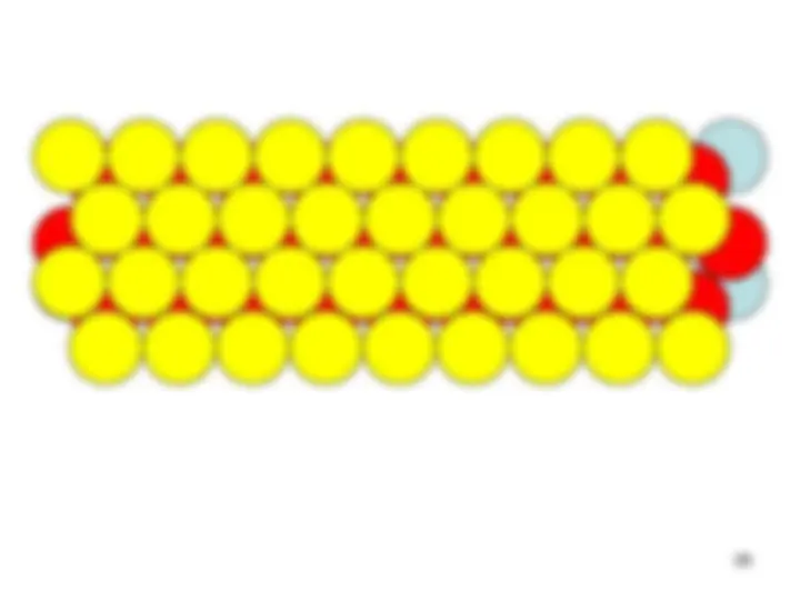 pf23