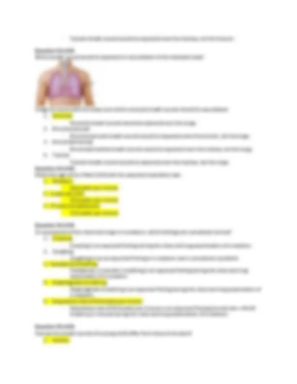 Health Assessment- Findings for Chest & Lung Sherpath Quiz | Quizzes ...