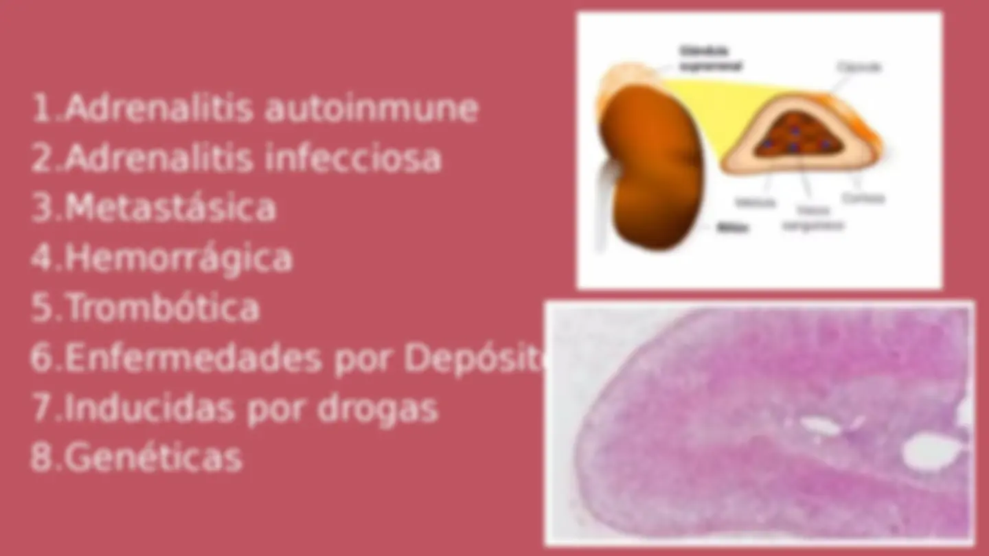 pf5