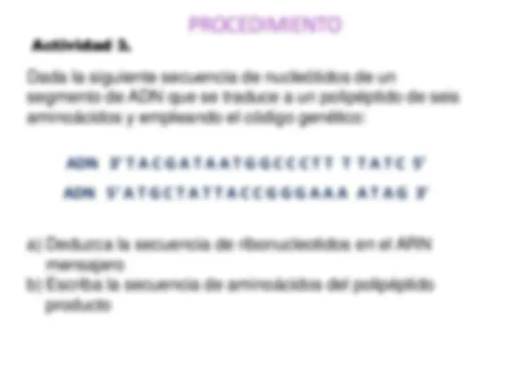 pf19