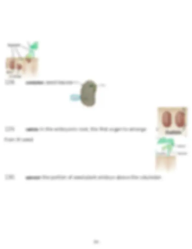 Biology Grade 11 Exam questions with correct answers 2023-2024 | Exams ...