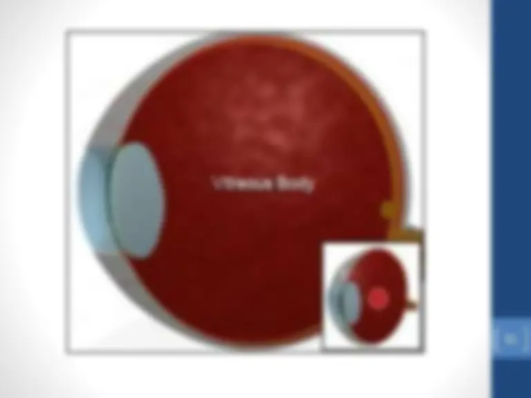 Eye Slides Matrix Anatomy of eye Presentation | Slides Nursing | Docsity