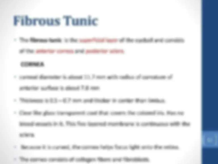 Eye Slides Matrix Anatomy of eye Presentation | Slides Nursing | Docsity