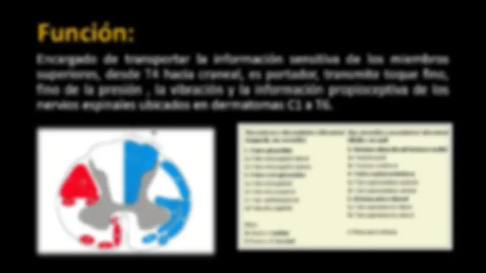 pf3