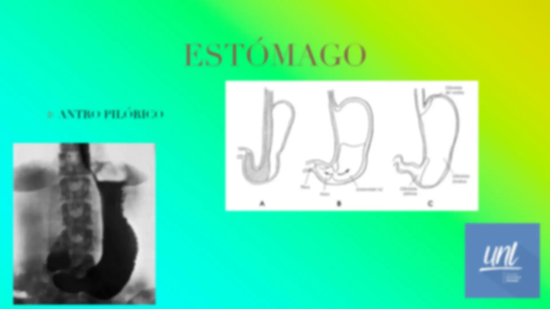 pf4