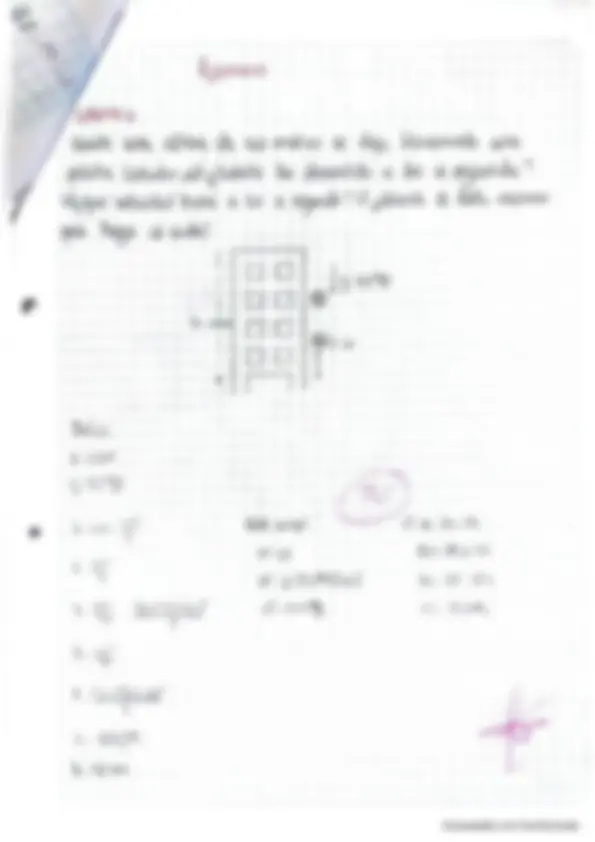pf24