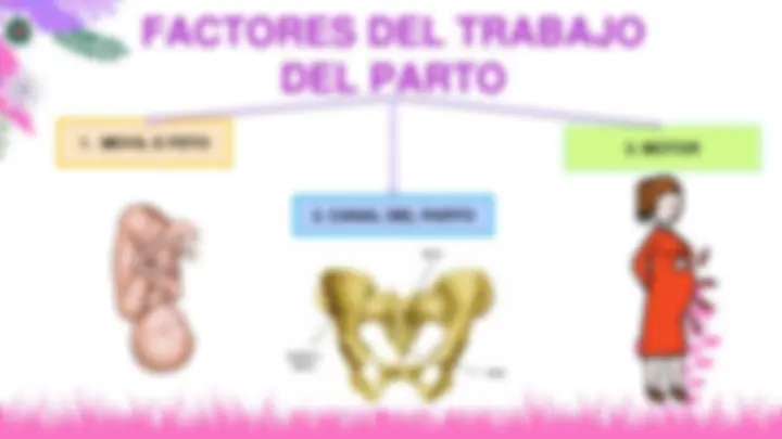 pf3