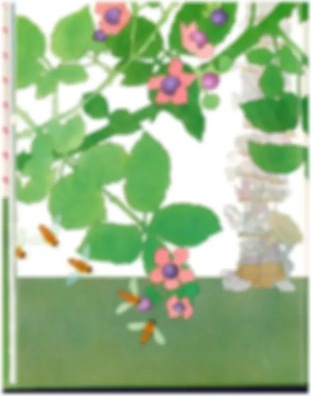 pf19