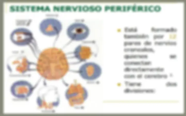 pf1a