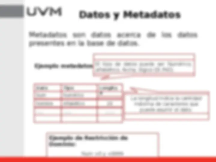 pfe
