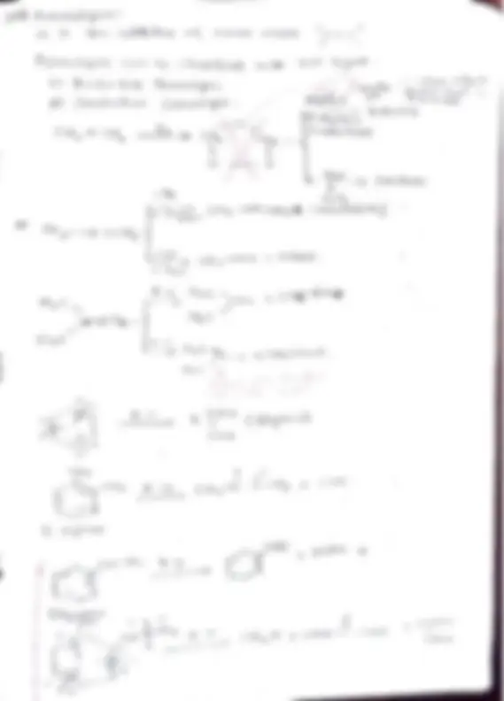 pf19